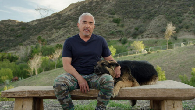 Cesar Millan: Jaký pán, takový pes